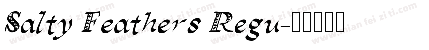 Salty Feathers Regu字体转换